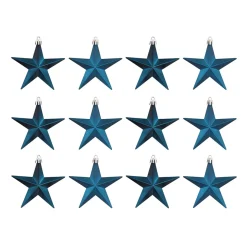 12 Blauwe Kerststerren In Handige Box