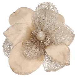 Champagne Magnolia Met Glitters En Organza
