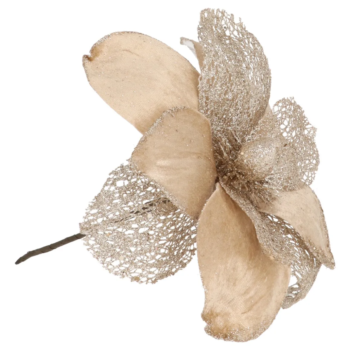 Champagne Magnolia Met Glitters En Organza