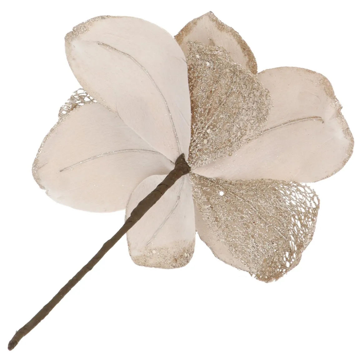 Champagne Magnolia Met Glitters En Organza