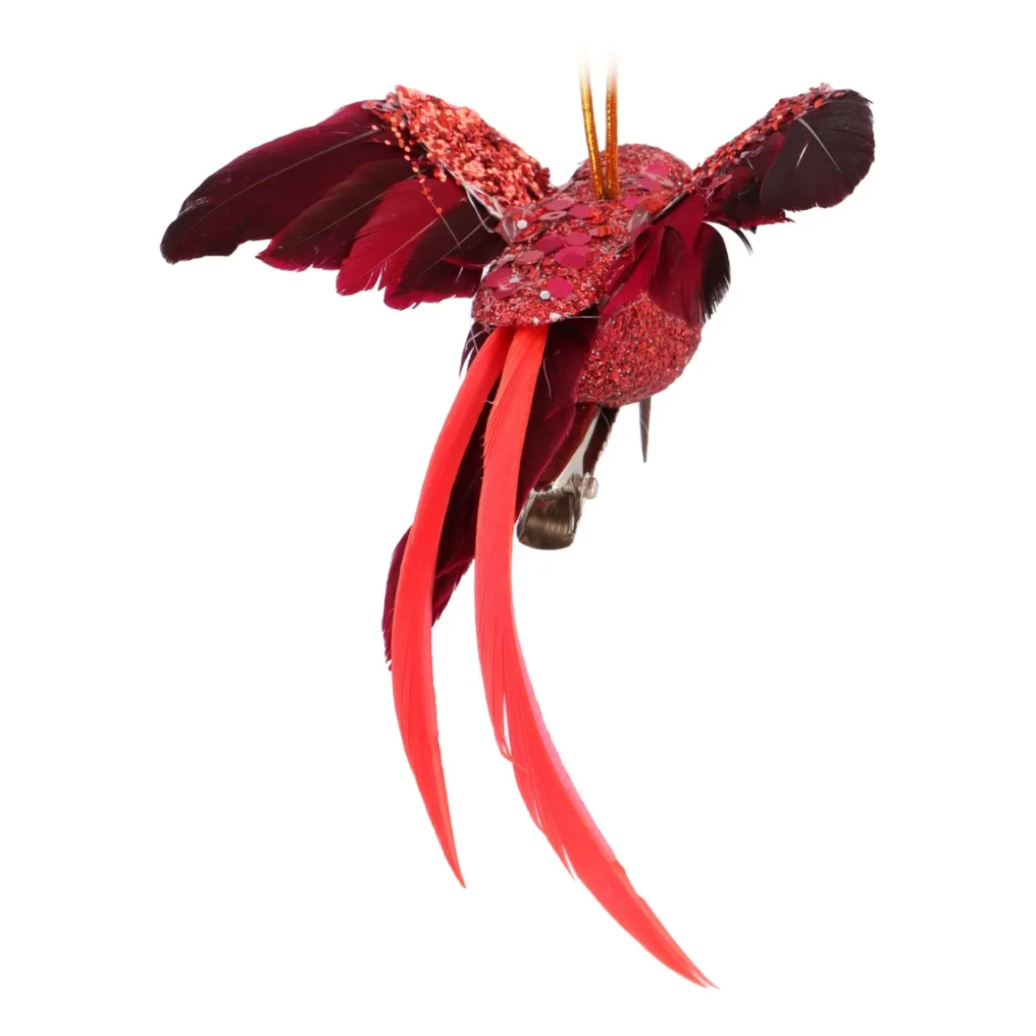 Dieprode Kolibrie Met Gestrekte Vleugels