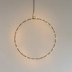 Hangende Metalen Ring Met LED | Ø 40 Cm | Zwart
