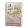 Led Lampjes | 20 St. | Warm Wit | Binnen