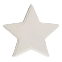 Porseleinen Kerstster Met Verlichting | 21 Cm | Wit