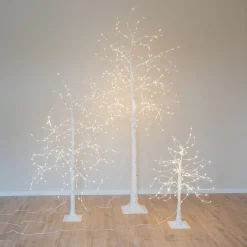 Sierlijke Witte Berkenboom Met LED-verlichting