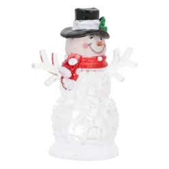 Sneeuwpop Met Gekleurde LED-verlichting