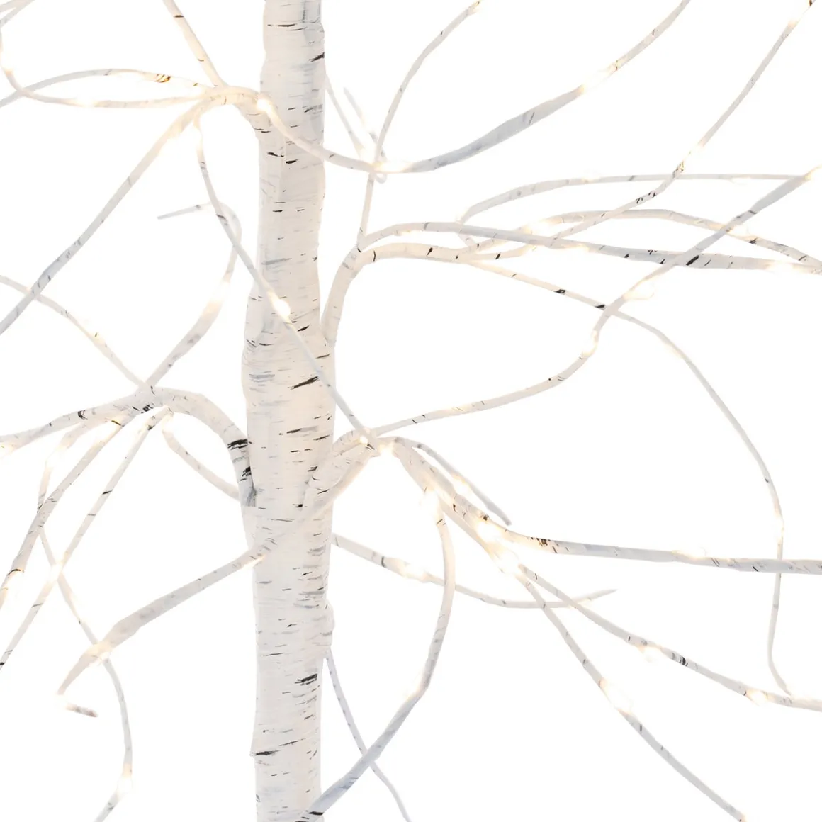 XL Witte Berkenboom Met LED-verlichting