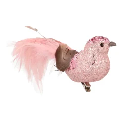 Zachtroze Kolibrie Op Clip Met Lange Staart